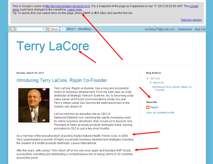 Screenshot of blog designed as profile of Terry LaCore, co-founder of Rippln. This blog was created, then deleted by user "rippln".