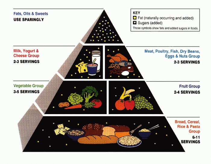 According to Dr. Abravanel, the food pyramid puts too much emphasis on carbohydrates for many body types