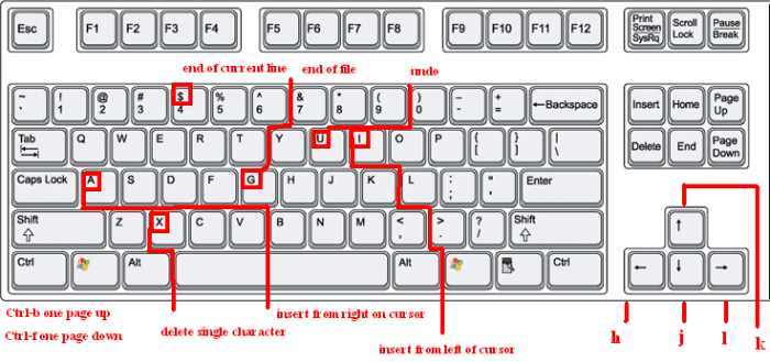 vi-unix-editor-how-to-use-vi-editor-and-common-problems-cli-putty-errors-and-terminal-type