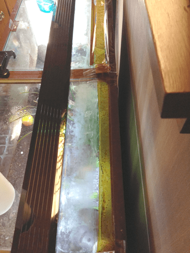 The yellow strips to the right are the fly strips, with clear packing tape overtop to seal any openings.