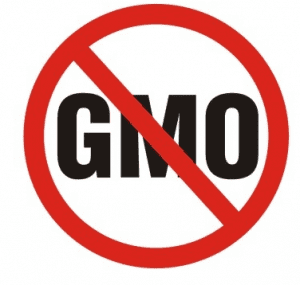 Many countries around the world already have taken action against GMOs. In the United States, legislation is beginning to gain momentum in states like California and Vermont.