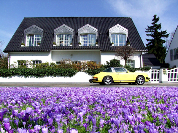 A medium-sized residential building that can be aptly described as a dream home. A compact size and classic style, it overlooks a field of beautiful flowers.
