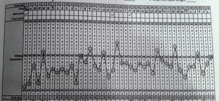 This chart shows an anovulatory cycle. Although some temperatures appear "high", such as cycle day 21, the temperature never remains high, indicating ovulation has not taken place.