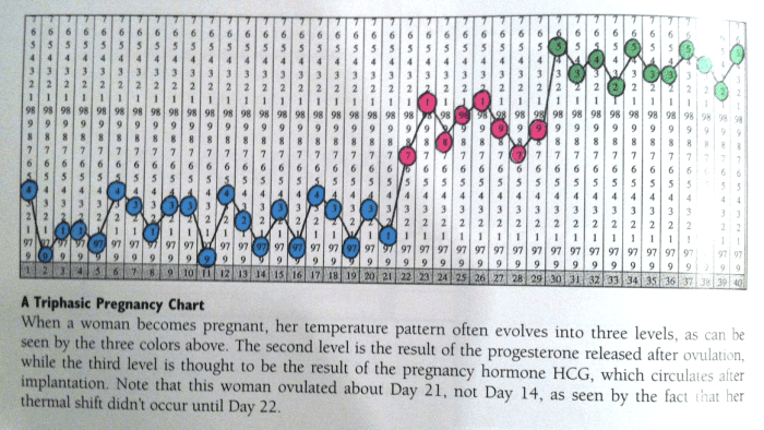 This chart shows the tri-phasic temperature pattern common with pregnancy. Blue temps indicate the follicular phase, Pink temps indicate ovulation and the luteal phase, and Green temps rise again due to the additional hormones that pregnancy creates.