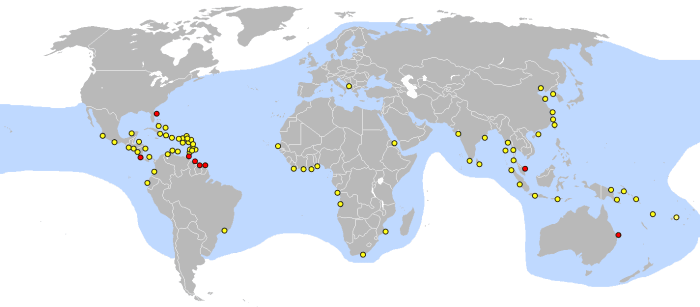 Nesting location of Leatherback sea Turtle : red dot = major nesting locations, yellow dot=minor nesting locations