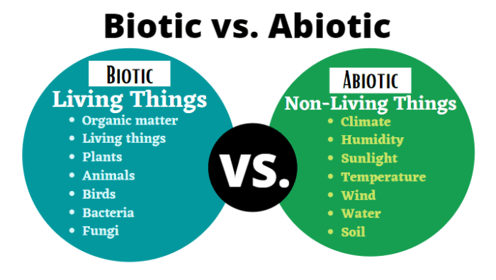 Knowing how living things (biotic) interact with non-living things (abiotic) is important in understanding how they shape major biomes in the world.