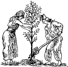 After the madness subsides, the characters in Candide take the follow the Turk's example and work int he garden.