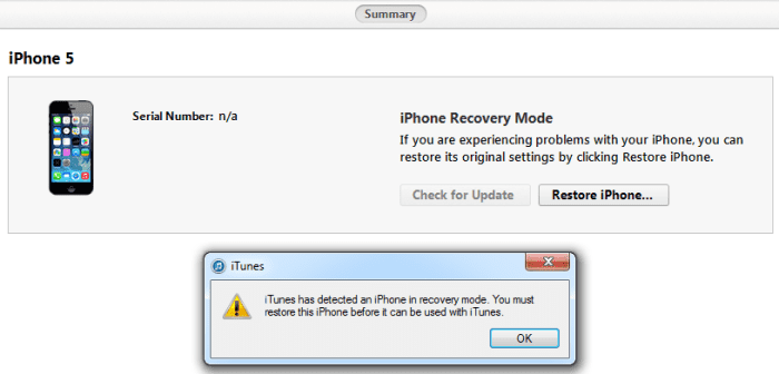 iphone restore firmware