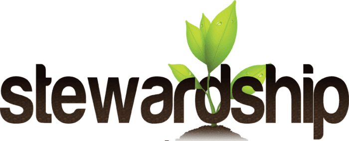 Stewardship Is More Than Tithing HubPages stewardship-is-more-than-tithing-hubpages