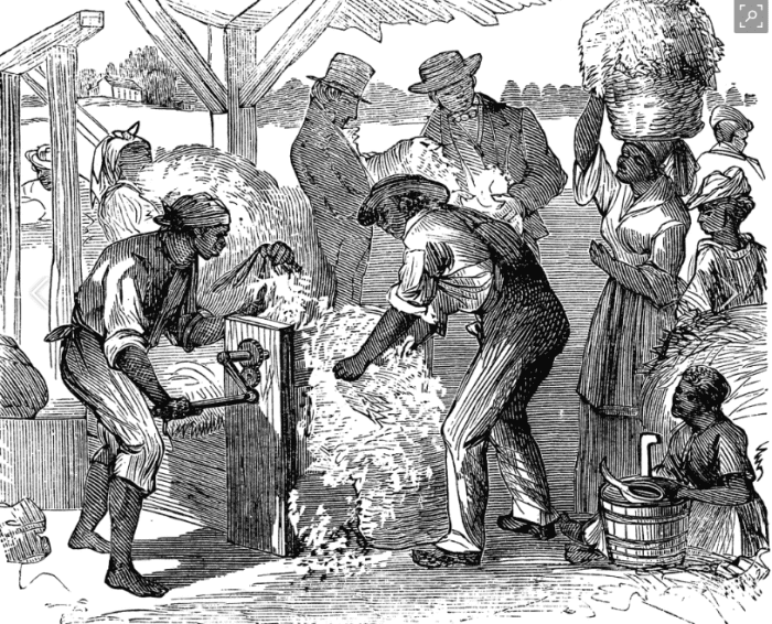 Slaves labor to operate the device that could've made slavery irrelevant. Instead, demand for slaves increased as the ability to harvest grew.