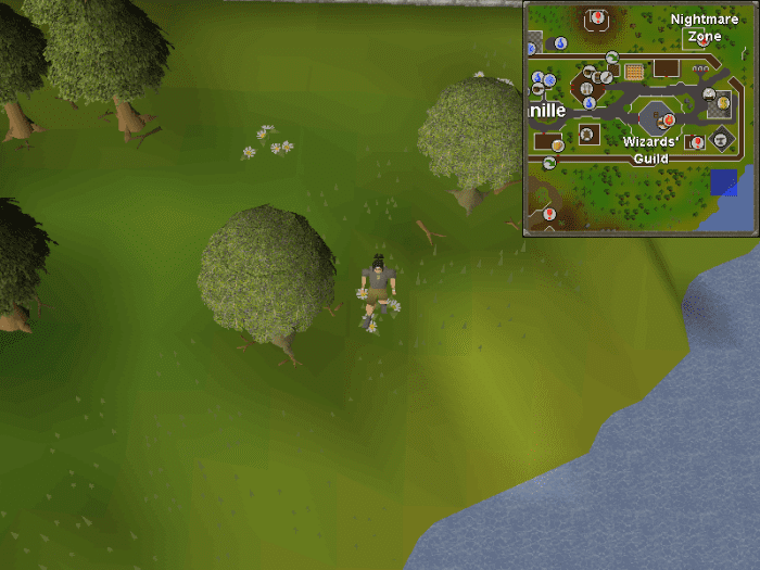 "OSRS" Ironman Guide Quest Order, Gear Progression, Slayer and More LevelSkip