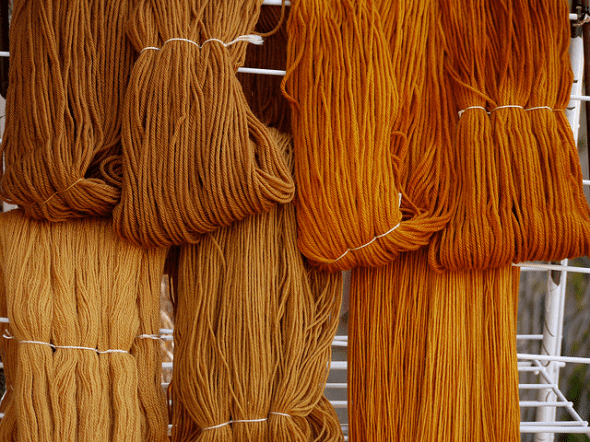 Natural plant dyes from dahlia flowers and onion skins were used to dye this yarn. The variation in colour was created by leaving the yarn in the dye bath for different lengths of time, different strengths of dye, and different yarn weights.