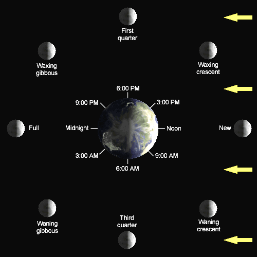 Investigate Phases of the Moon: Science Activity for Middle School