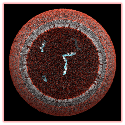 A proto-cell. This is a hypothesized stage between organic matter and the formation/assembly of that matter into the first cell.