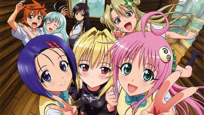 10 Best Harem Anime You Should Watch - HubPages