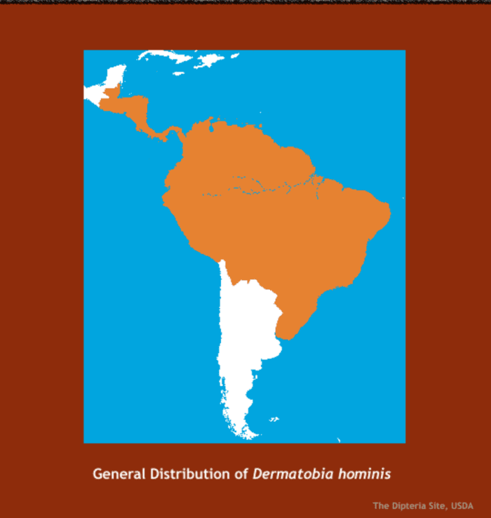 Locations where the BotFly and Beef Worm live