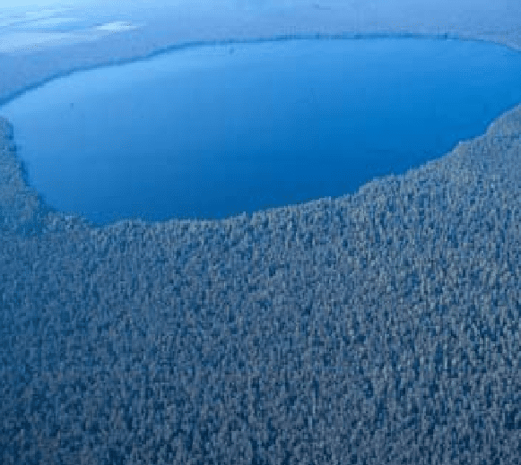 This image or recording is the work of a U.S. Fish and Wildlife Service employee, taken or made as part of that person's official duties. As a work of the U.S. federal government, the image is in the public domain.