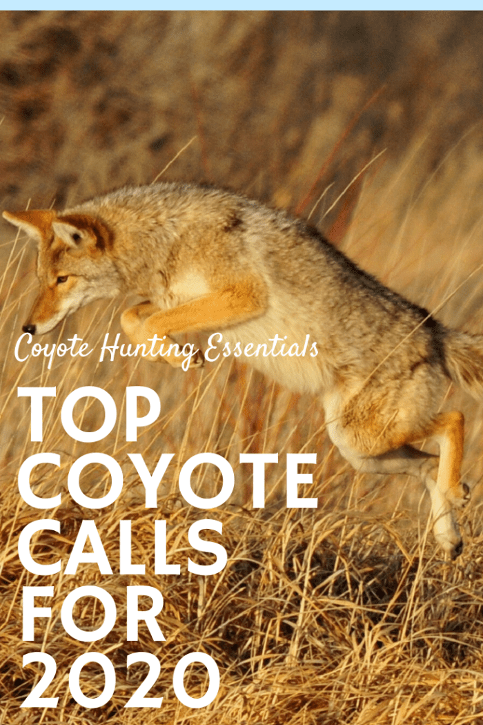 Coyote Hunting Gear 3 Best NonElectronic Predator Calls for 2020