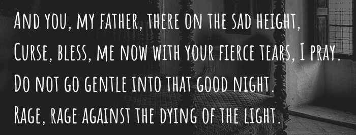 do not go gentle into that good night essay questions