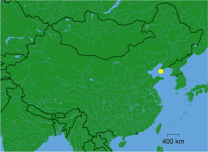 Port Arthur gave the Japanese Army access to Manchuria, controlled then by Russia.