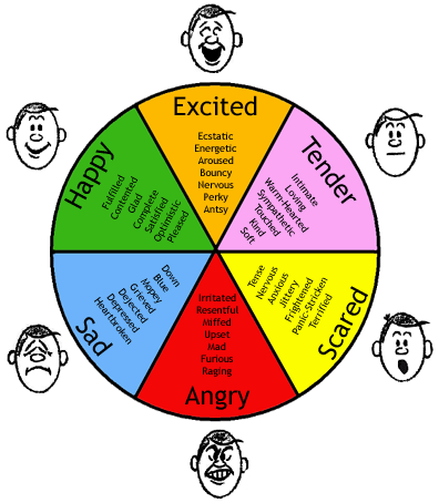 learn-skills-to-control-emotions-and-enjoy-life