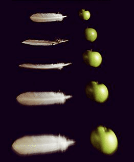 Fig. 3. Feather and apple falling in vacuum chamber. One may be surprised with this fact since our intuition is based on our experience with atmosphere.