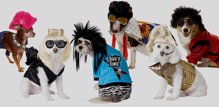 Rubies Punk Rocker, California Costumes Lady Dogga, Rubies Rock Star, Pup-A-Razzi Rock N Roll King, and Blonde Ham-Bition Pop Queen, Pet Pop King. All available at