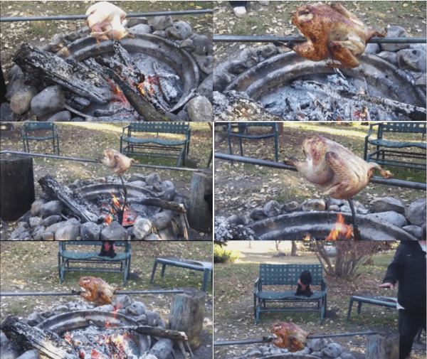 I turn the turkey one quarter turn about every 15 minutes to allow it to cook on all sides. The coal bed must be maintained by adding small amounts of wood to to keep the heat up high.