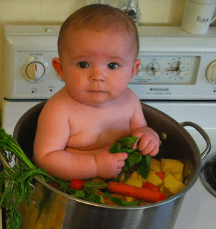 There will be no babies cooked here as Mr. Swift modestly proposes, but a tender young 204b can make a nice lunch if properly prepared.