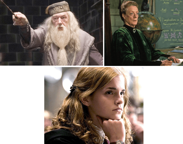 11 Kinds of Harry Potter Wizards - HubPages