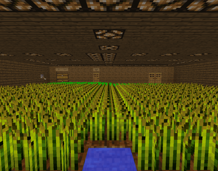 In Minecraft, you can build an underground farm for wheat, potatoes, carrots and more!