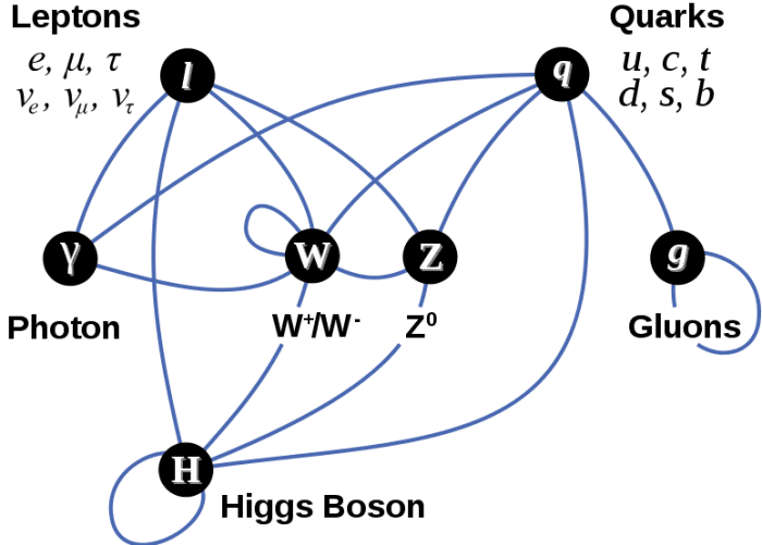 A diagram summarizing the tree-level interactions between elementary particles described in the Standard Model. Vertices (darkened circles) represent types of particles, and edges (blue arcs) connecting them represent interactions that can take place