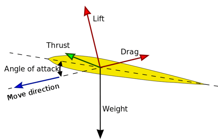 A diagram showing how a bird generates lift. The lift itself is created by pressures from the air flow over the top of the wing.