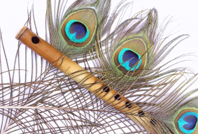 Peacock feathers are often seen in Indian culture with a flute, because Krishna carries them together.
