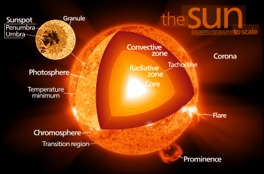 The Sun formed about 4.6 billion years ago from the gravitational collapse of a region within a large molecular cloud. Most of the matter gathered in the center, while the rest flattened into an orbiting disk that would become the Solar System. The c