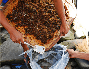 Transfer the rice and bubod mixture inside a plastic bag (Image Credit: AkosiSuperEdwinK from pinoyphotography.org)