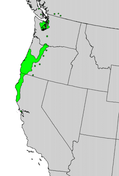 Rhododendron macrophyllum range map