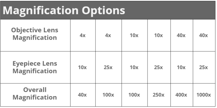 The AmScope M162C comes with 3 objective lenses and 2 eyepiece lenses. This is how the two different types of lenses combine to give you 5 magnification levels