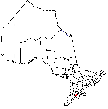 Map location of Woodstock, Ontario