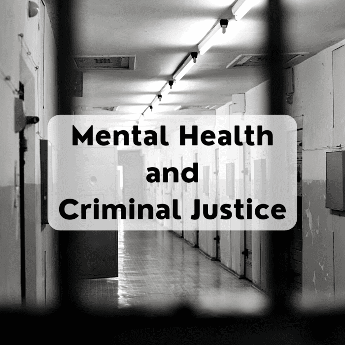 Criminal Justice Reform For Behavioral Health Consumers - Soapboxie