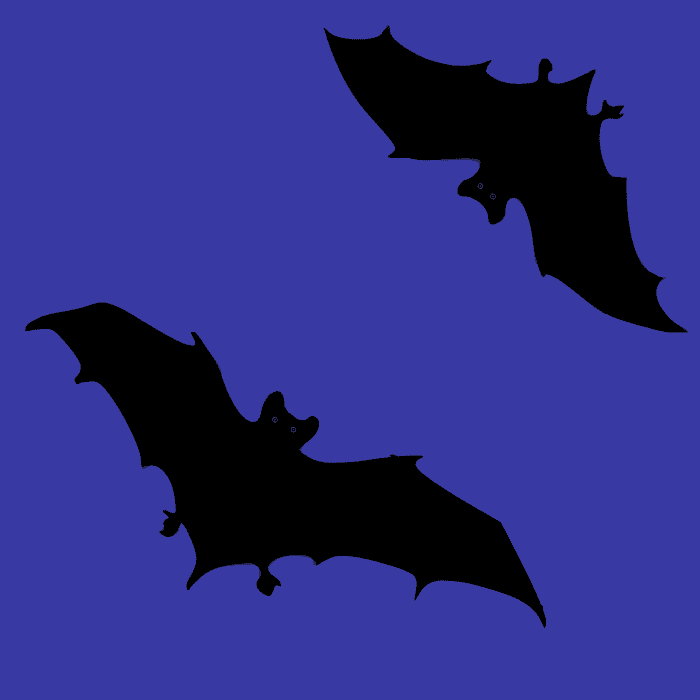The Folklore of Bats - Owlcation