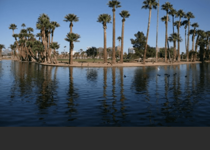 Encanto Park Lake- Lakes are generally stocked with catfish in June, September and October, and trout in November and December. View the stocking schedule for specific dates. All state regulations apply to fishing in city of Phoenix parks.
