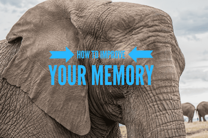 Improving your memory isn’t as impossible as it seems. Simple things like eating the right foods, exercising and getting adequate sleep on a regular basis, get you high points towards a good memory.