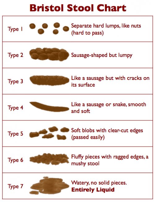 The concept by Professor DCA Candy and Emma Davey, based on the Bristol Stool Form SCale produced by Dr KW Heaton.