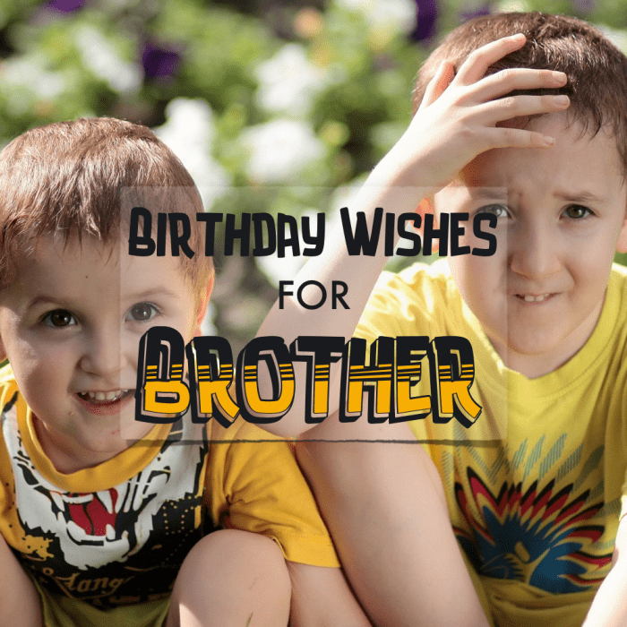 Birthday Wishes for Brother - Funny Quotes, Heartfelt / Sincere Poems ...