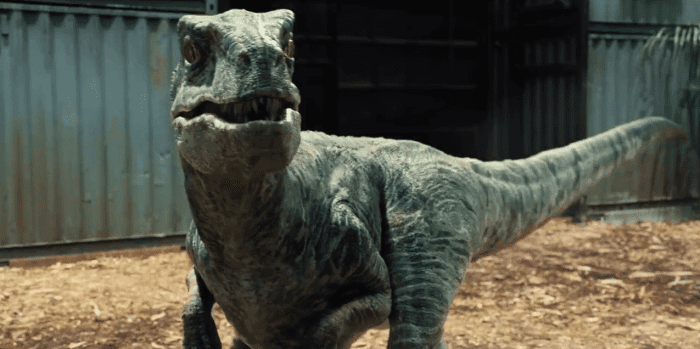 (cc image, Jurassic Park Wiki) Velociraptor, As Portrayed in the Jurassic Park Movie Franchise (Similar Features, But Entirely Different Body to the Real Velociraptor)