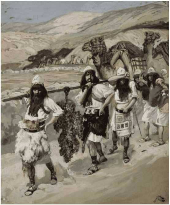 Canaan's descendants settled in some of the best territories on earth. The land's grapes grew so large that it took two men to carry one cluster. The Canaanites' disgusting sins caused God to use the Israelites to drive them out of the area.