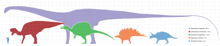 Note the small person on the left hand side. That is not really a small person, but compared to these large dinosaurs the person seems very small.