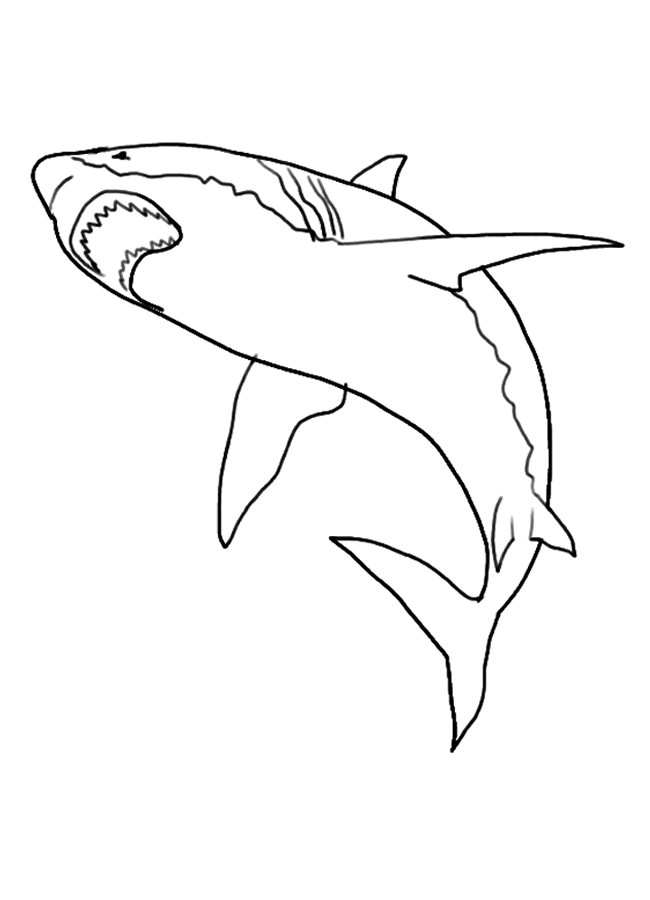 Pictures of Sharks for Kids to Color In - HubPages