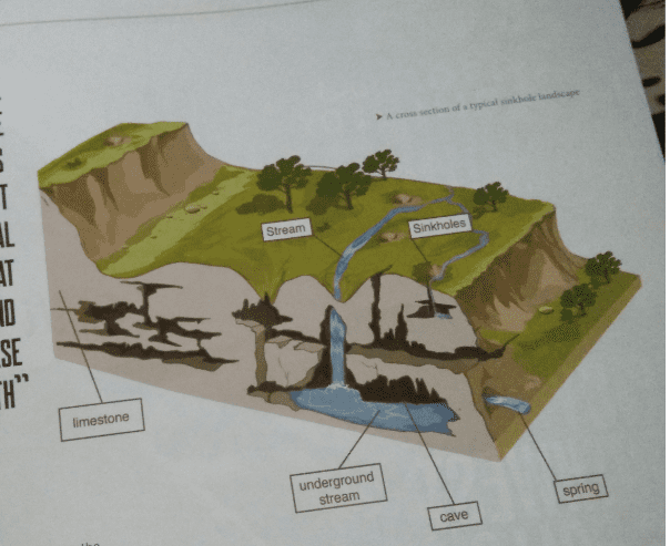 Each hole has unique ecosystems with many plant and animal species that cannot be found anywhere else on earth.